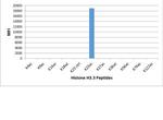 H3K23ac Antibody in Luminex (LUM)