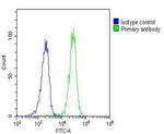 RASSF2 Antibody in Flow Cytometry (Flow)