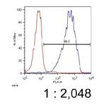 ABCA7 Antibody in Flow Cytometry (Flow)