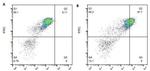 CD11c Antibody in Flow Cytometry (Flow)