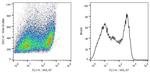 SCIMP Antibody in Flow Cytometry (Flow)