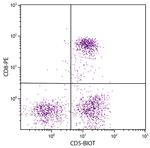 CD5 Antibody in Flow Cytometry (Flow)