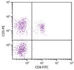 CD5 Antibody in Flow Cytometry (Flow)