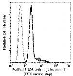 ENO3 Antibody in Flow Cytometry (Flow)