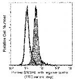 S100A9 Antibody in Flow Cytometry (Flow)