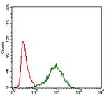 MRP4 Antibody in Flow Cytometry (Flow)