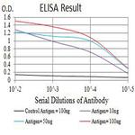 APC2 Antibody in ELISA (ELISA)