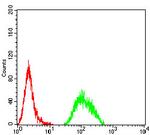 APC2 Antibody in Flow Cytometry (Flow)