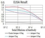 BCL11B Antibody in ELISA (ELISA)