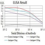 CCR1 Antibody in ELISA (ELISA)