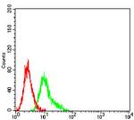 CCR1 Antibody in Flow Cytometry (Flow)