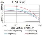CIRBP Antibody in ELISA (ELISA)