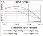 EIF2A Antibody in ELISA (ELISA)
