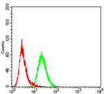 FBXL10 Antibody in Flow Cytometry (Flow)