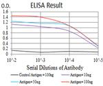 GLRB Antibody in ELISA (ELISA)