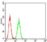 GLRB Antibody in Flow Cytometry (Flow)