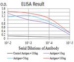 GluR7 Antibody in ELISA (ELISA)