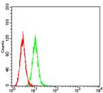 GluR7 Antibody in Flow Cytometry (Flow)