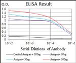 GSC Antibody in ELISA (ELISA)