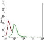 GSC Antibody in Flow Cytometry (Flow)