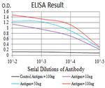 P2Y12 Antibody in ELISA (ELISA)