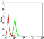 P2Y12 Antibody in Flow Cytometry (Flow)