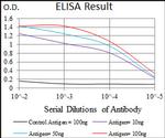 PDE1B Antibody in ELISA (ELISA)