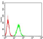 PGRMC1 Antibody in Flow Cytometry (Flow)