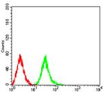 Phospho-4EBP1 (Ser65) Antibody in Flow Cytometry (Flow)