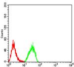 PLD2 Antibody in Flow Cytometry (Flow)