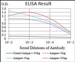 SMCP Antibody in ELISA (ELISA)