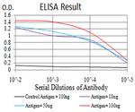 TBCC Antibody in ELISA (ELISA)