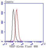 VEGF Antibody in Flow Cytometry (Flow)