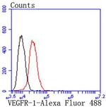 VEGF Receptor 1 Antibody in Flow Cytometry (Flow)