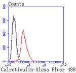 Calreticulin Antibody in Flow Cytometry (Flow)