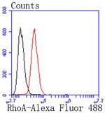 RhoA Antibody in Flow Cytometry (Flow)