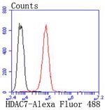 HDAC7 Antibody in Flow Cytometry (Flow)