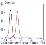 Caspase 10 Antibody in Flow Cytometry (Flow)