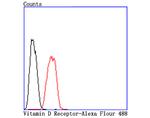 VDR Antibody in Flow Cytometry (Flow)