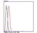 TrxR1 Antibody in Flow Cytometry (Flow)