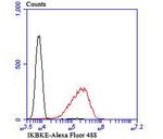 IKK epsilon Antibody in Flow Cytometry (Flow)