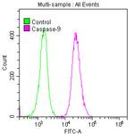 Caspase 9 Antibody in Flow Cytometry (Flow)