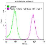 H2BK20ac (type 1-B) Antibody in Flow Cytometry (Flow)