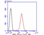 KDEL Antibody in Flow Cytometry (Flow)