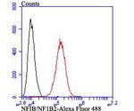 NFIB Antibody in Flow Cytometry (Flow)