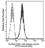 Carbonic Anhydrase IX Antibody in Flow Cytometry (Flow)