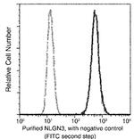 NLGN3 Antibody in Flow Cytometry (Flow)