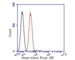 CASPR Antibody in Flow Cytometry (Flow)