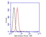 GAA Antibody in Flow Cytometry (Flow)