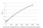 SARS-CoV-2 Nucleocapsid Antibody in ELISA (ELISA)